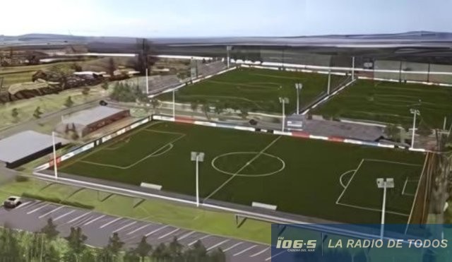 liga senior