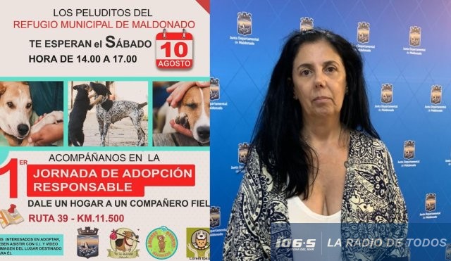 JORNADA ADOPCION RESPÒNSABLE
