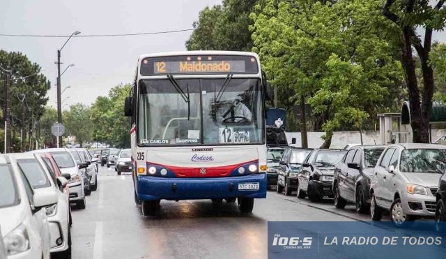 Línea-bus 9-12