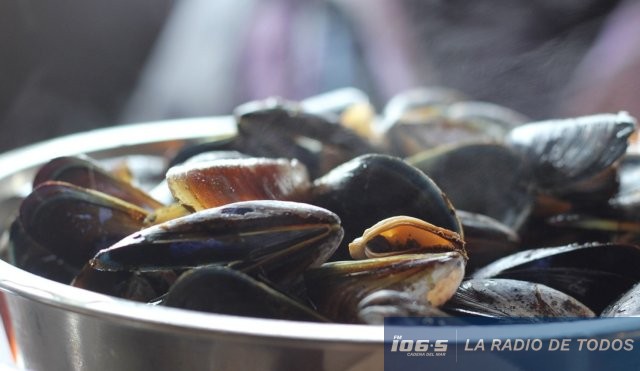 VEDA