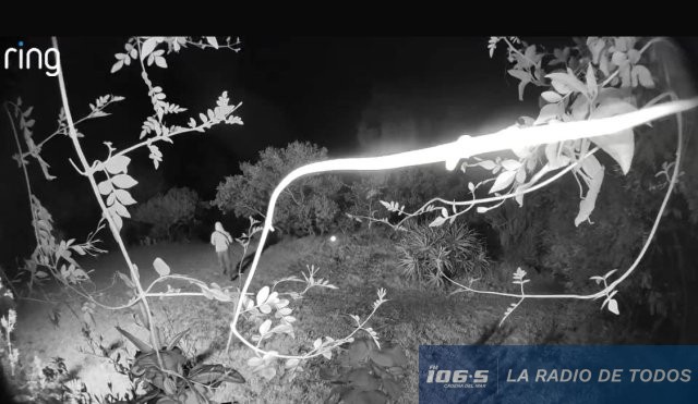 Ruta 12-delincuentes