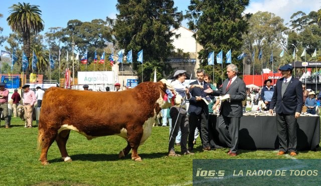 EXPOPRADO