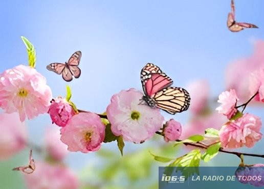 PRIMAVERA