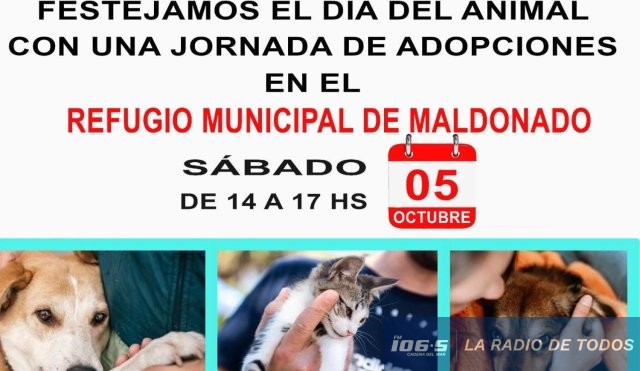 jornadas mascotas