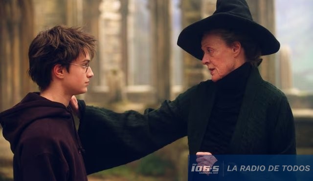 Harry Potter-