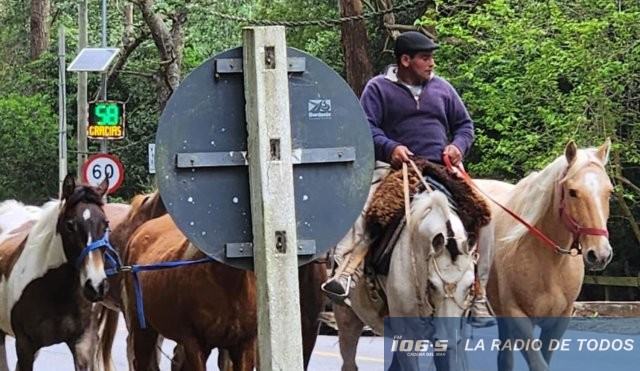 caballos