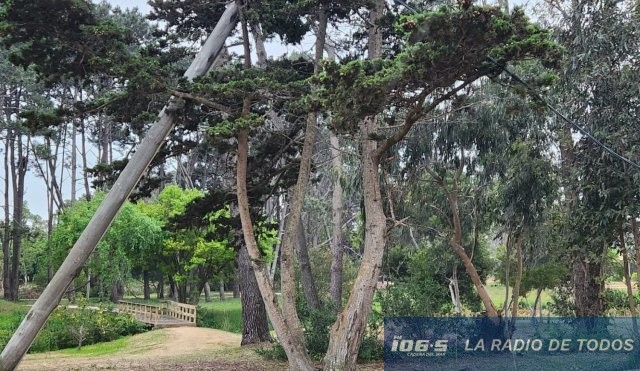 COLUMNA CAIDA