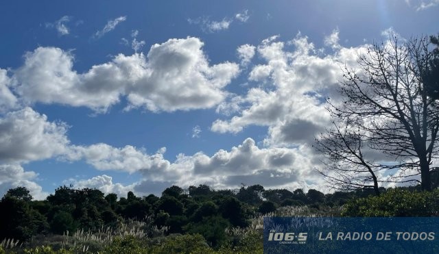 Bosque-cielo 2