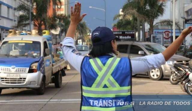 INSPECTORES IDM