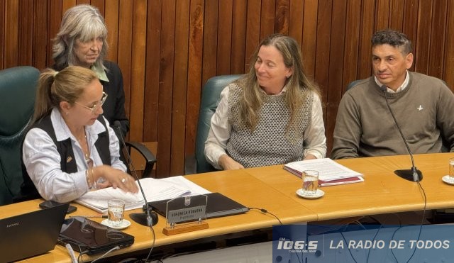 Junta-discapacidad-