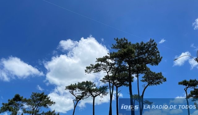 cielo-bosque-nubes