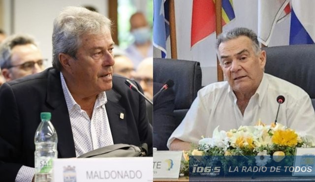 antía vidalín