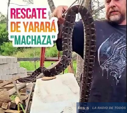 yarará-rescate