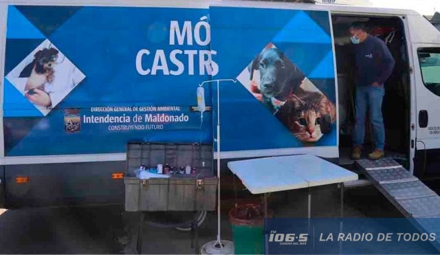 castraciones