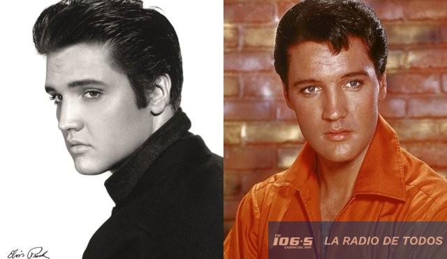 elvis
