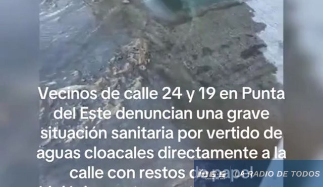 VERTIDO