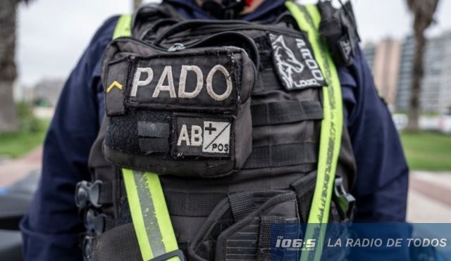 PADO