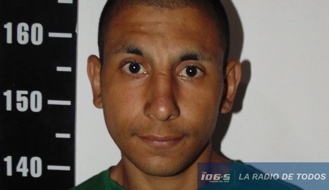 darwin franca