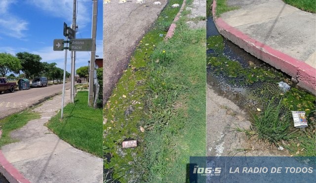 vecinos