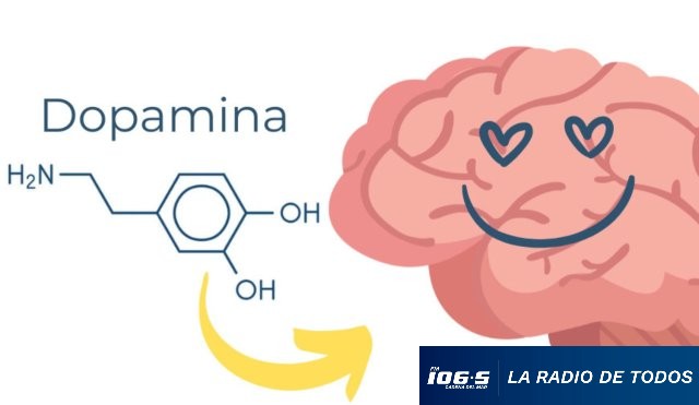 dopamina