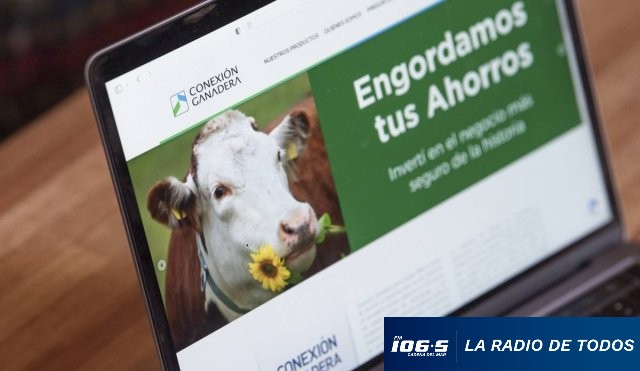 CONEXIÓN GANADERA