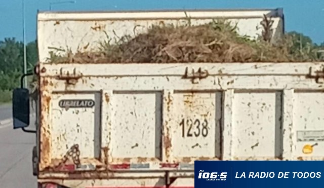 camión-denuncia