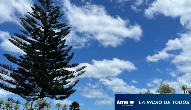 Sol-bosque-cielo