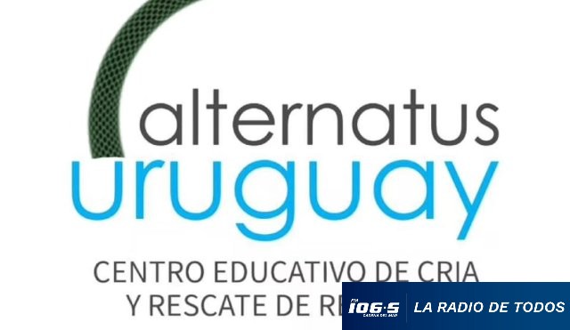 Logo Alternatus