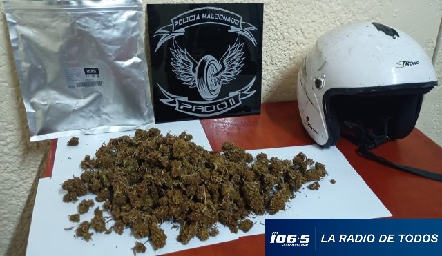 marihuana-droga