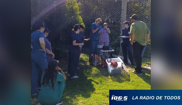 veterinarios ecfa