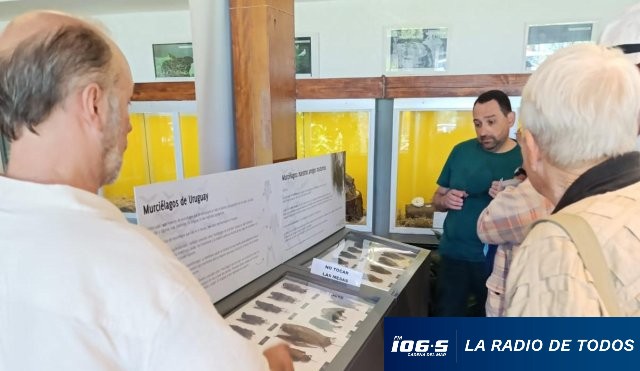 expo-murciélagos2