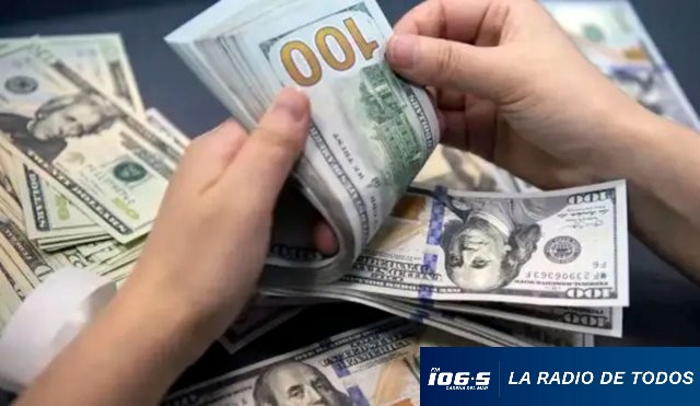 contando dólares