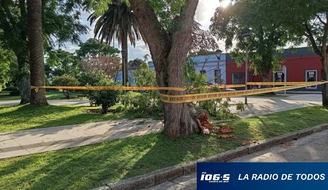 paraíso-plaza-pan
