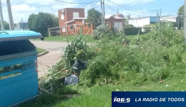 basura-contenedor 