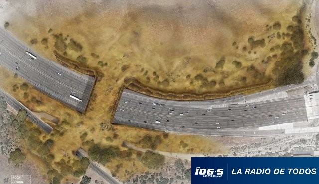 puente pumas