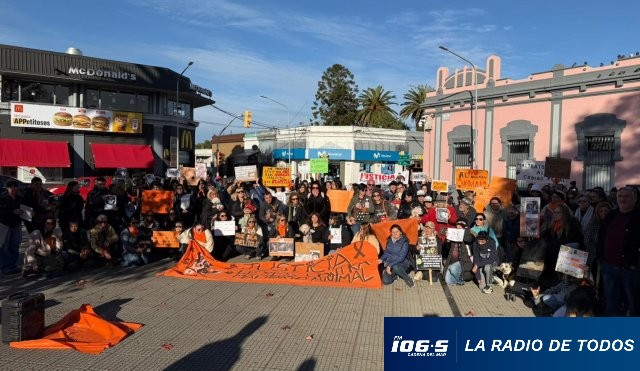 marcha-animales-plaza