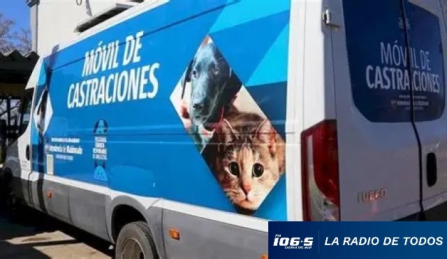 CASTRACIONES /