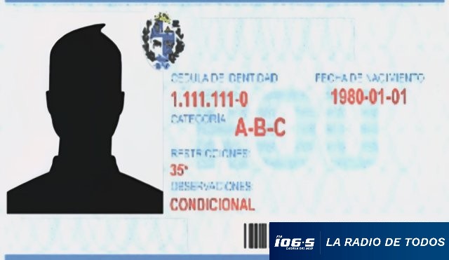 Licencia de conducir por puntos