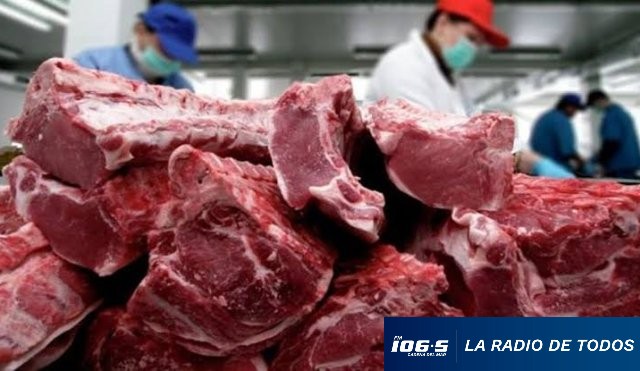 Carne 21.10