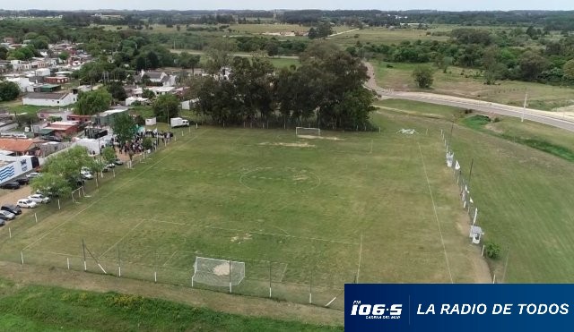 liga mayor
