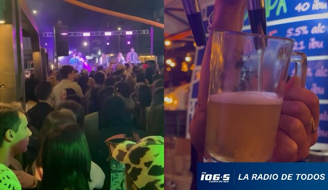 Cerveza artesanal 