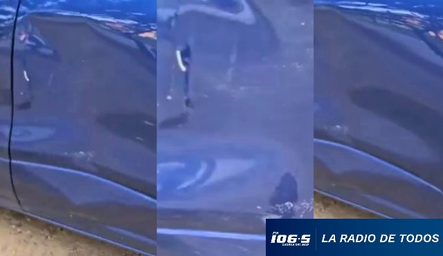 auto dañado