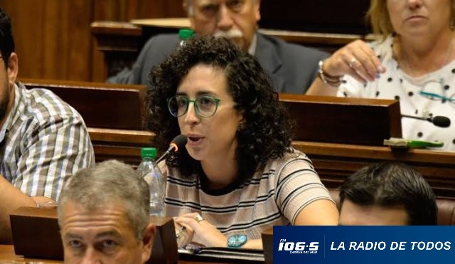 DIPUTADA MPP 03.11