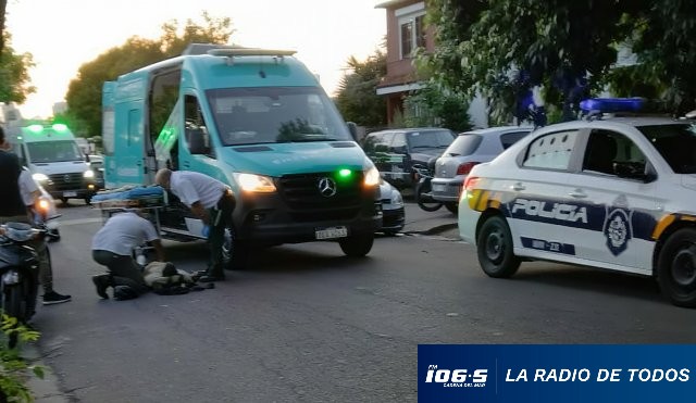 Gato accidente 