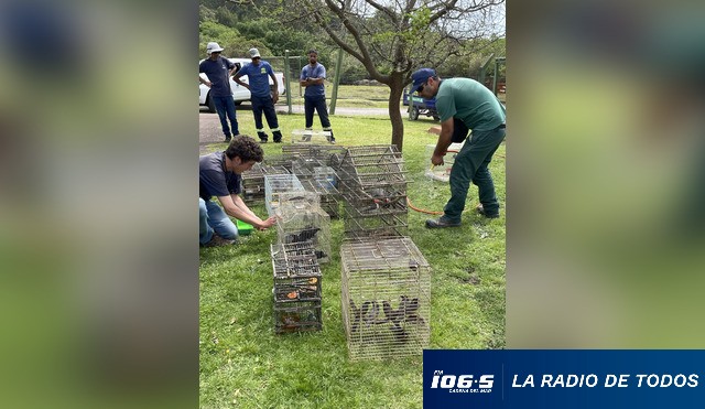 PAJAROS 05.11