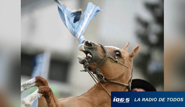CABALLO