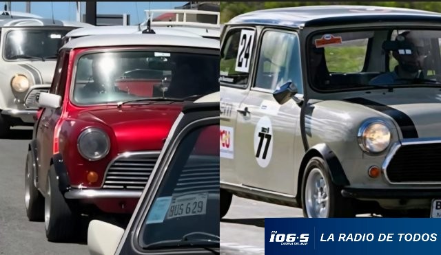 MINI PDE AUTOS