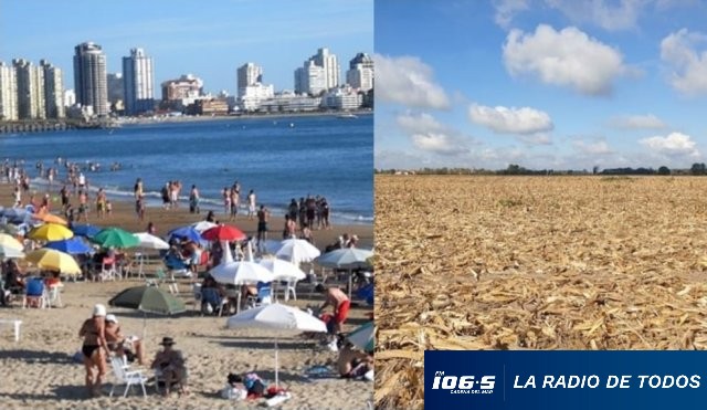 CLIMA  18.11