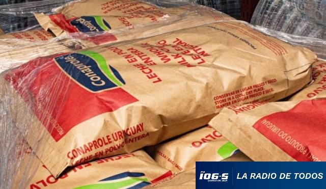 LECHE EN POLVO