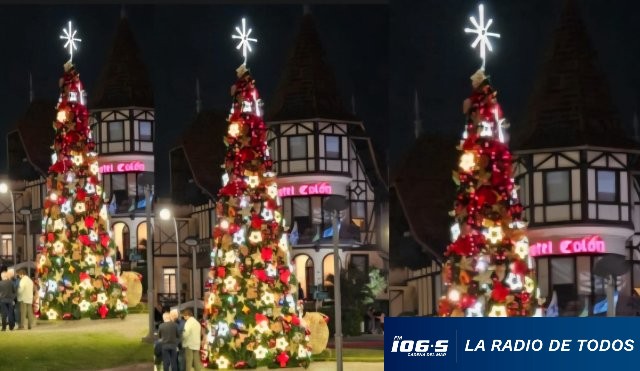 NAVIDAD PIRIA  8.12